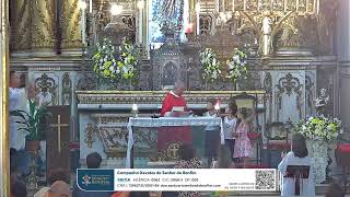 Santa Missa Ao Vivo [upl. by Hosea771]