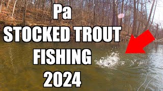 Pa Trout Fishing 2024 INSANITY Stocked Trout Fishing [upl. by Eilojne]