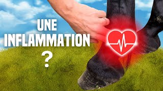 Comment prendre le pouls digité [upl. by Orlantha5]