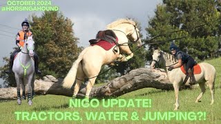 Nico Update TRACTORS WATER amp JUMPING [upl. by Mears996]