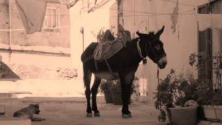 Tarantella dei Briganti Pugliesi  Puglia Folk [upl. by Selig]