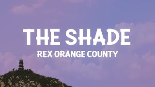 Rex Orange County  THE SHADE Lyrics [upl. by Ailama]