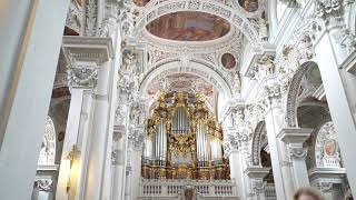 Passau Organ Concert starts 543 into clip after introductions [upl. by Eniagrom]