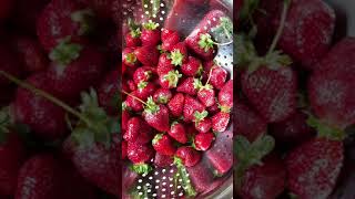 How to freeze fresh strawberries correctly simpler and easier than you think shorts [upl. by Rivard]