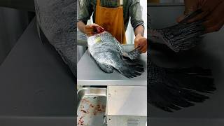 How to cut big sea fish cutting skills video giant fish cutting reels shorts youtubeshorts [upl. by Ellmyer]