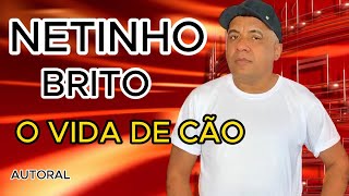 O VIDA DE CÃO Netinho Brito Seresta 100 Autoral [upl. by Yrbua991]