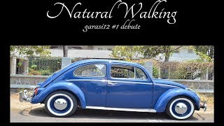 VW Beetle 12001961 Natural Walking garasi12carchitecture [upl. by Seravaj]