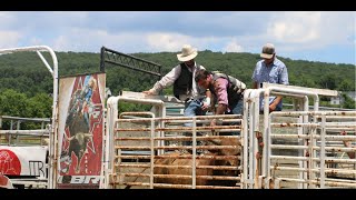 Raising bucking bulls for the rodeo [upl. by Greeley798]