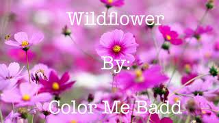 Color Me Badd  Wildflower Lyrics [upl. by Yeruoc]