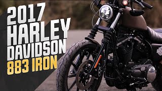 Harley Davidson 883 Iron  Cinematic Clip [upl. by Arretahs313]