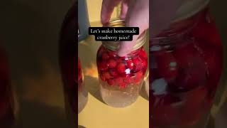 Homemade cranberry juice homemade diy cranberryjuice [upl. by Nila]