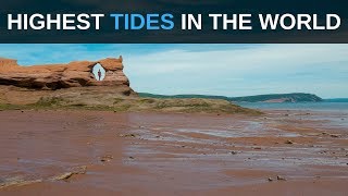 Highest Tides in the World [upl. by Redla]