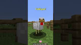 POV Youre a Chicken in Minecraft [upl. by Enej]