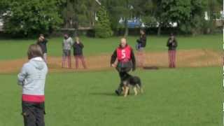 Team GB WUSV IPO World Championship Qualifier Vongalanberg Kai Obedience [upl. by Laved]