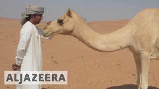 Bedouins in Oman A foot in two worlds [upl. by Enelehs67]