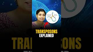 TRANSPOSONS Explained riturattewal neetbiology transposons neet2024 neet [upl. by Nylatsyrc]