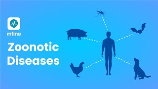 Zoonotic Diseases  Diseases that are Passed from Animals to Humans  MFine [upl. by Llekcir]