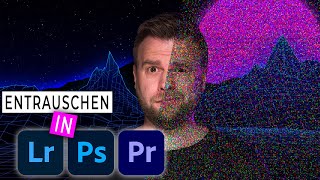 Bildrauschen reduzieren  RAUSCHENTFERNUNG in Lightroom Photoshop und Premiere Pro [upl. by Rubma158]