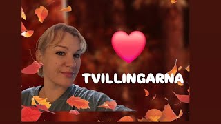 Tvillingarnas kärleksliv ❤️ [upl. by Katushka]