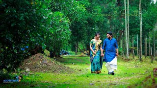 Wedding highlight  Brahmin wedding  Sreeni amp Swathi  Stories by Chayamughi [upl. by Aihsekal]