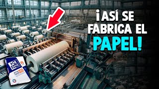 ¿Cómo Se Fabrica El Papel Proceso En Fábrica [upl. by Ximenes]