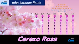 Cerezo Rosa Flauta Dulce Con Notas  Pérez Prado  Tutorial Tipo Karaoke [upl. by Klepac]