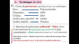 TD2 Autoradiographie 2020 21 vidéo [upl. by Barnes]