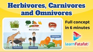 Herbivores Carnivores and Omnivores  Class 6 chapter 1 Food Where Does it Comes From Learnfatafat [upl. by Payne691]