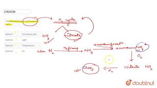 The limiting factor in nitrification of soil is [upl. by Kavanaugh793]