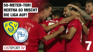 50METERTOR Hertha 03 mischt die Liga auf Luckenwalde  Hertha Zehlendorf  Regionalliga Nordost [upl. by Dupaix121]