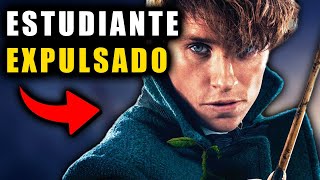 ¿Por Qué Newt Scamander Se Quedó Con Su Varita  Teoría de Harry Potter [upl. by Hterag824]