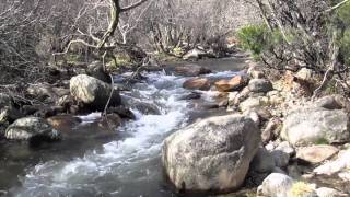 El río Manzanares poco después de su nacimiento en la Pedriza [upl. by Savil42]