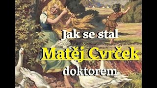 audio pohádka Matěj Cvrček doktorem [upl. by Ehc]