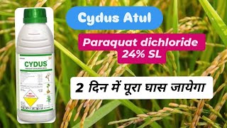 Cydus Herbicide Atul Paraquat dichloride 24 SL [upl. by Yerga707]