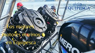 Motor Mercury Marine Twin 250 HP SeaPro V8 ESVTH [upl. by Marpet207]