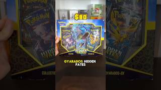 Hidden Fates GYARADOS Boxes in 2024 😭📈 [upl. by Granniah]