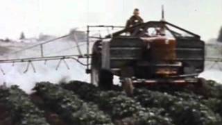 Pesticide Use in the USA 1958 CDC [upl. by Daiz]