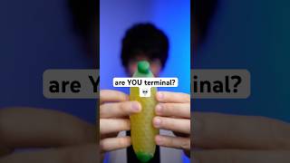 are YOU terminal 💀 asmr [upl. by Watkins]