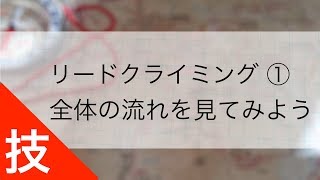 リードクライミング ①｜まずは一連の流れを見てみよう！ [upl. by Canica]