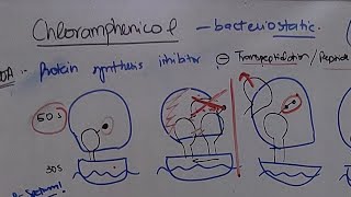 Chloramphenicol [upl. by Yesima]