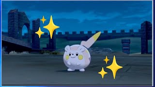 ENFIN UN SHINY DANS LES TAUX ≃ 1000 RENCONTRES✨ [upl. by Antonietta]