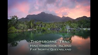 Hiking Hinchinbrook Island Thorsborne Trail with my two kids [upl. by Ainos562]