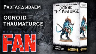 Обзор миниатюры Ogroid Thaumaturge [upl. by Buffo142]