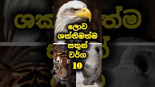 ලොව ශක්තිමත්ම සතුන් 10 shorts trending viralvideo top10 strong animals viralshorttopanimal [upl. by Bonis]