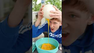 Attempting To Microwave An Ostrich Egg shorts [upl. by Ytram471]