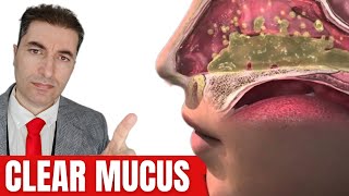 1 Cup will CLEAR UP Mucus amp Phlegm in Sinus Chest LungsNose [upl. by Atiuqrahs]