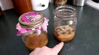 MOLDY KOMBUCHA  ideas to prevent mold on scoby hotels [upl. by Bethezel]