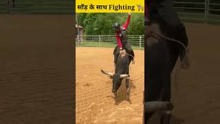 Bull Fighting Game 😱 fight bull fact gameplay [upl. by Beulah]