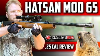 Hatsan MOD 65 Break Barrel Air Rifle REVIEW Accuracy and Shooting Test [upl. by Daigle239]