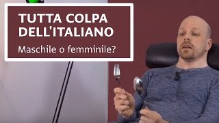 Italiano per anglofoni  Tutta colpa dellitaliano Posate [upl. by Llevrac]